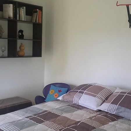 Acogedor Apartamento De Huespedes En Parcela. Puerto Varas Buitenkant foto